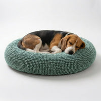Muddy Mat Cloud K-9 Dog Beds for Small Dogs & Cats - Medium (35''X35'') / Seafoam Green