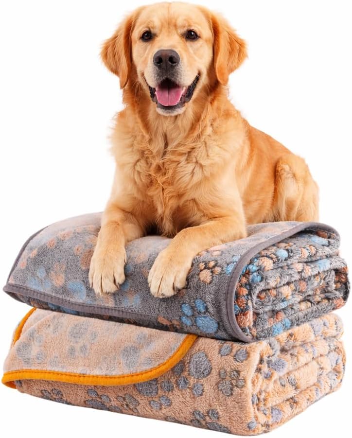 Dog Blanket Paw Bone Pattern 1 Pack 2 Super Soft Warm Flannel Sofa - 40*30 inch (Pack of 2) / Grey&brown-paw