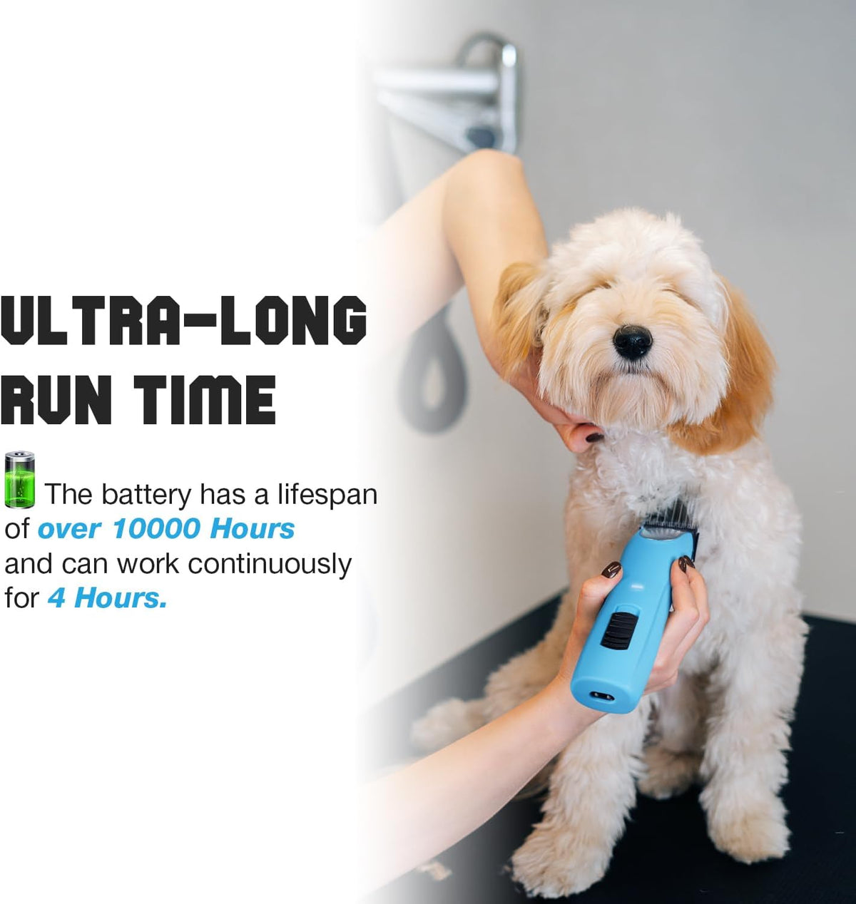 Professional Dog Clippers for Grooming Thick Curly Matted Coats – Essentials for Dogs - Blue - image 3