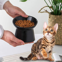 Elevated Cat Bowls, 15° Tilted Ceramic Cat Food Bowl - Black / Small - image 4