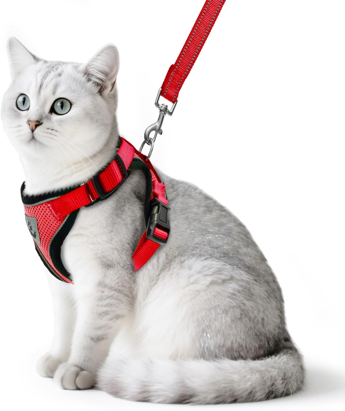 PUPTECK Cat Harness and Leash Set Escape Proof Reflective Cat Walking - M (NECK 11"-13.7", CHEST 16"-20") / Red
