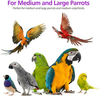 RUBY.Q 20in Large Parrot Toy - 3 Pack - image 2