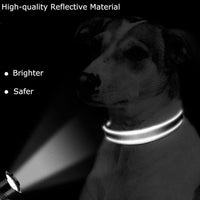 Roses&Poetry Reflective Dog Collar with Gradient Mistyrose - S / Mistyrose - image 2