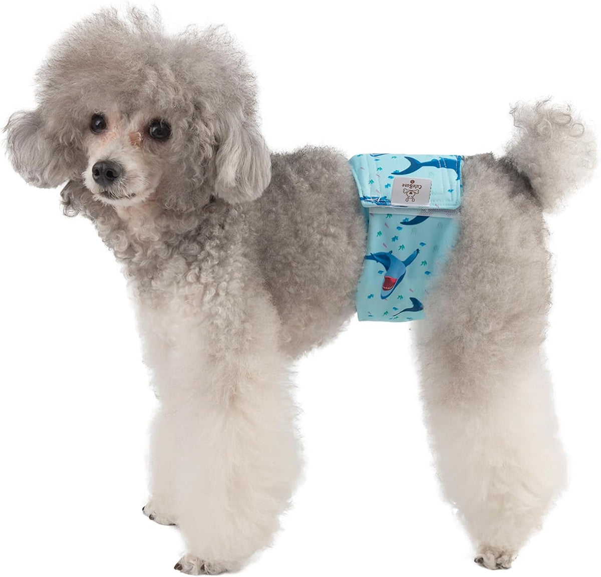 CuteBone Dog Belly Bands for Male Dogs Wraps Washable Doggie Diapers - Turtle&shark&jellyfish / S(11"-14") - image 3