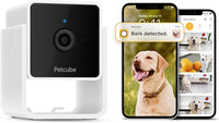 Petcube Security Camera (Cam with Subscription)