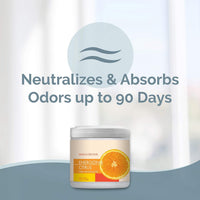 SMELLS BEGONE 15oz Gel Odor Eliminator - Citrus / 15 Ounce (Pack of 2) - image 2