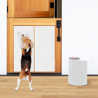 Pet Nail Self Adhesive Replacement Emery Paper - 10in*13ft / White