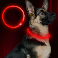 Led Dog Collar, BSEEN USB Rechargeable Flash Light up Dog Collar – Essentials for Dogs - Red