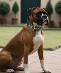 Dog Collar for Large Dogs, with Handle 2" Wide Heavy Duty - Camo Greed / L - image 3