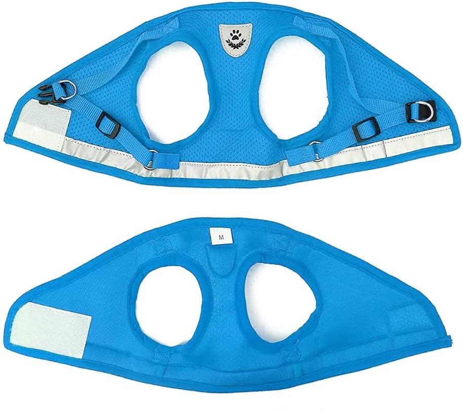 FEimaX Dog Harness and Leash Set for Walking - Azure / X-Small - image 4