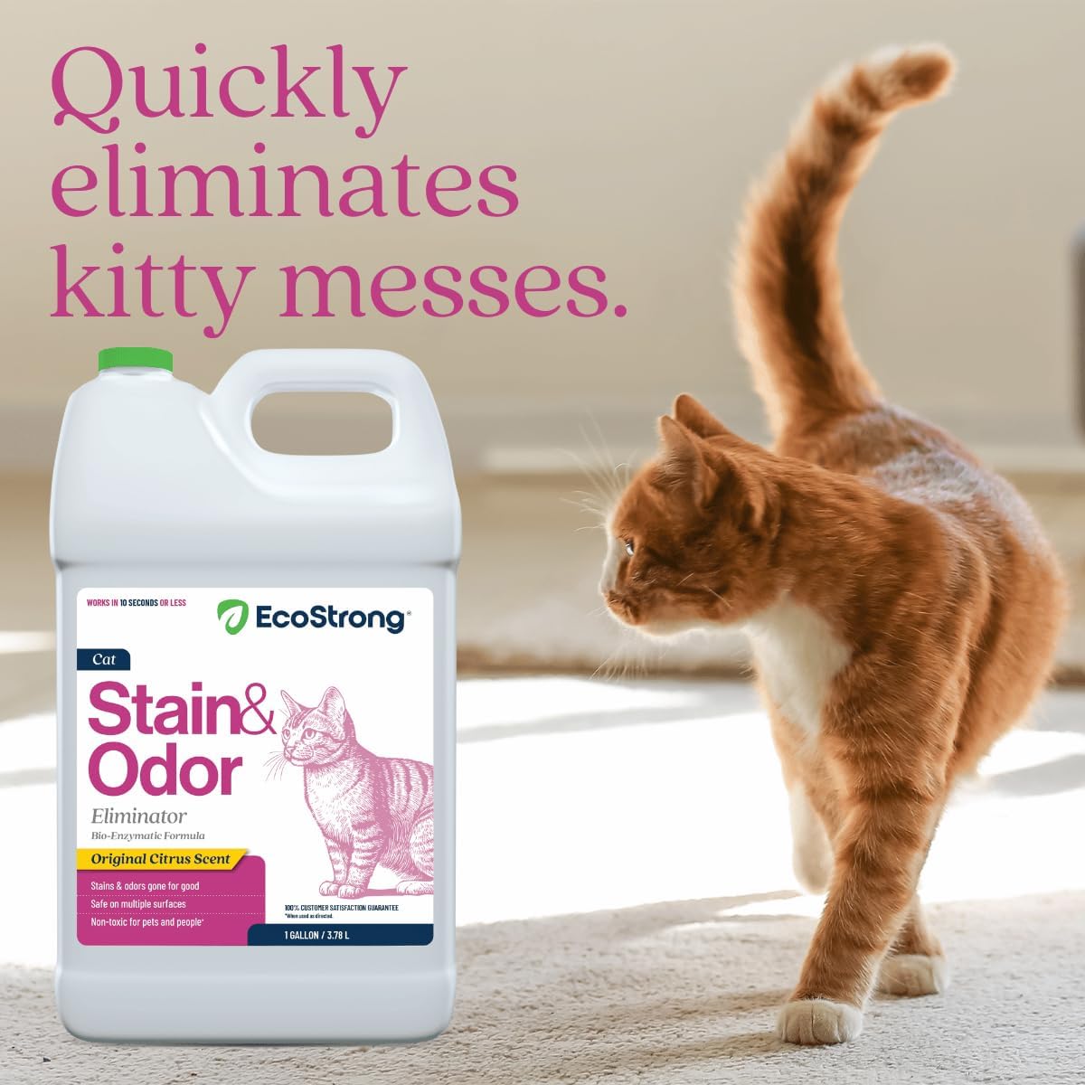 Eco Strong Cat Stain And Odor Remover - 128 Fl Oz (Pack of 1) - image 3