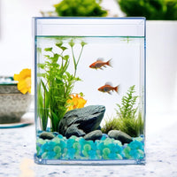 HappyFiller 2 Lb Matted Flat Marbles - Blue/Green/Aqua Teal / 5 LB - image 3