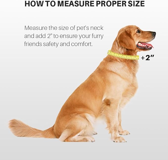 Hyhug Pets Classic Regular Heavy Duty Nylon Dog Collar with Easy to Put On & Off Buckle. (Small, Hot Pink)