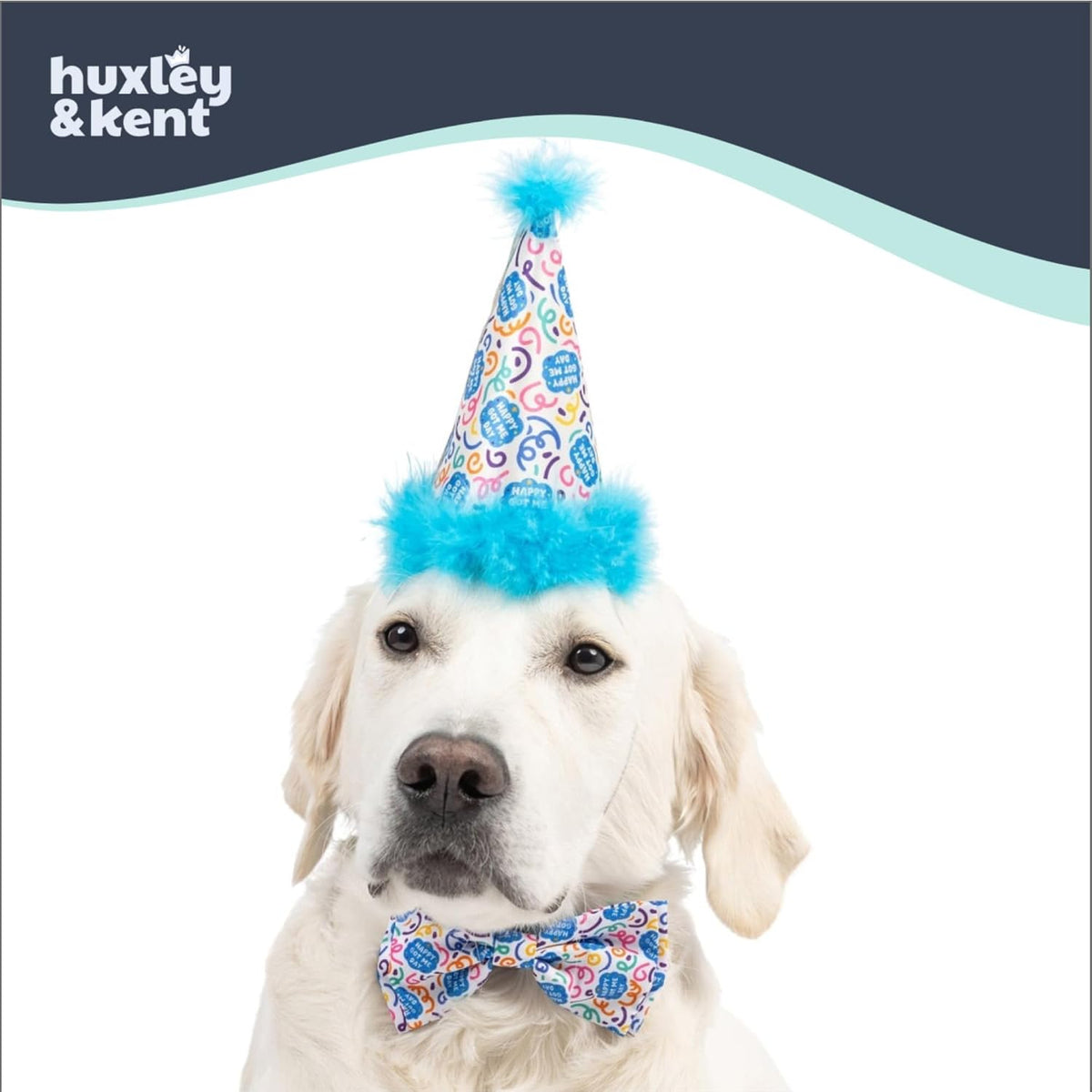 Huxley & Kent Party Crown Hat for Dogs & Cats - Small / Happy Got Me Day - image 3