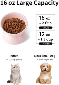 Cat Water Bowl, 15° Tilted and Raised Pet Food Dish - 1 Pack / Pink - image 2