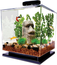 Tetra Half-Moon 3 Gallon Starter Fish Tank Kit – Essentials for Fish - 3 Gallon / Cube Aquarium Kit