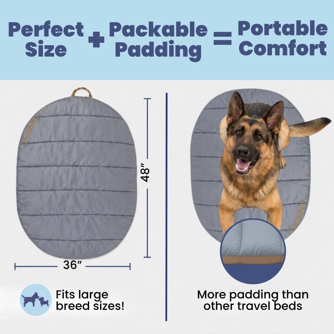 Travel Dog Bed, Foldable & Packable with Carry Bag, Black - Foggy Trail / Large - image 2