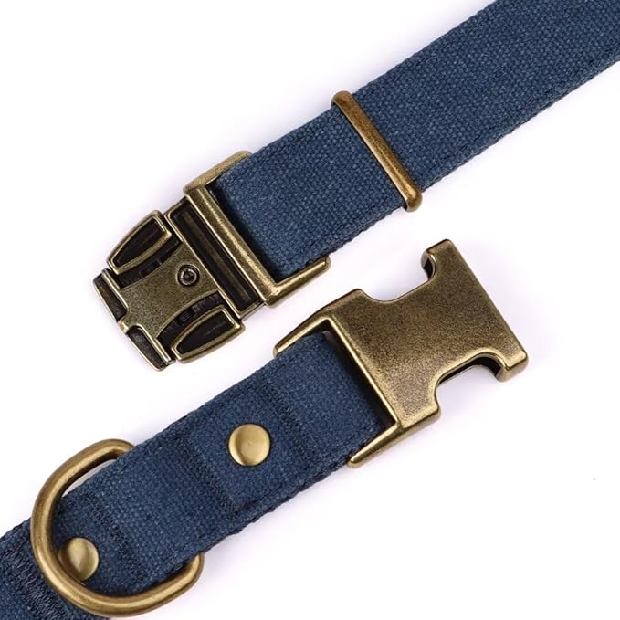 PET ARTIST Dog Collars for Small Dogs, Soft Padded Premium Nylon Dog Collar with Quick Release Metal Buckle, Durable & Adjustable Pet Collars for Boy Gifts, Blue, S (Fit 10-16")