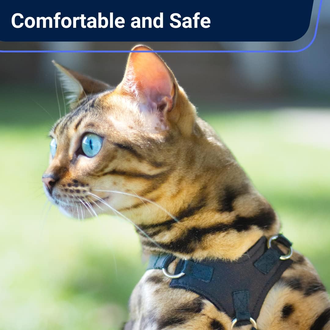 Houdini Escape Proof Cat Harness and Leash – Essentials for Cats - Vegan Leather / XL - image 2