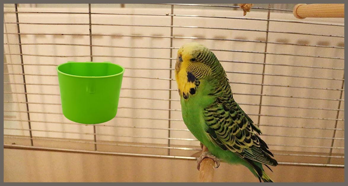 Cage Cups Birds Feeders Seed Bowl Chicken Feeding Watering Dish - 10PCS Green - image 4