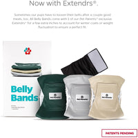 Pet Parents Washable Belly Bands for Male Dogs + Extendrs of Durable - X-Small (11-13") / Spruce - image 3