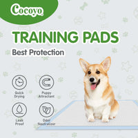 COCOYO Best Value Training Pads 30 Count, Dog Pee Pads - 1 / 22" x 22" Bamboo - image 2