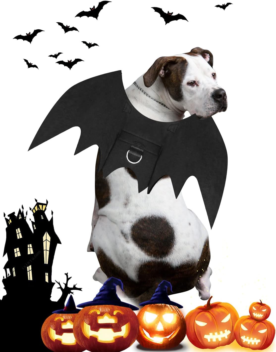 Halloween Dog Bat Wings Costume - Large - image 2