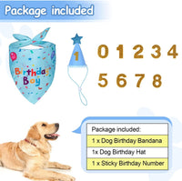 Dog Birthday Party Supplies – Premium Bandana & Hat Set for Dogs - BIG FRENCHIES