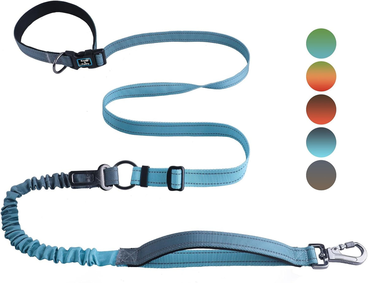 Roses&Poetry Hands Free Dog Leash for Medium Large Dogs Heavy Duty - Aquamarine