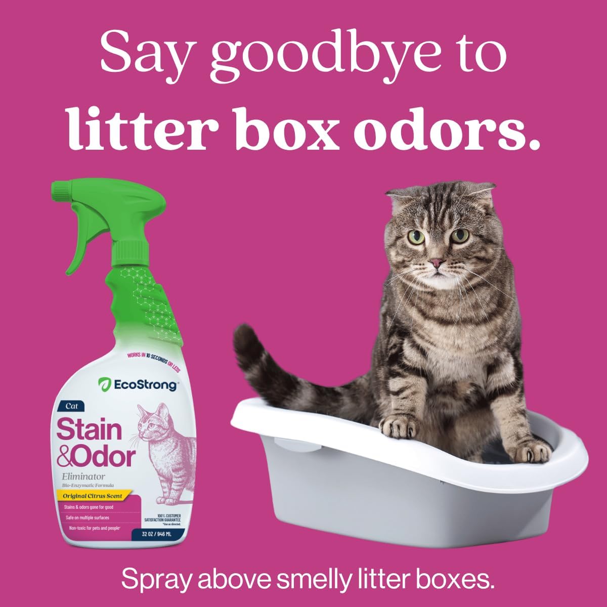 Eco Strong Cat Stain And Odor Remover - 32 Fl Oz (Pack of 1) - image 4