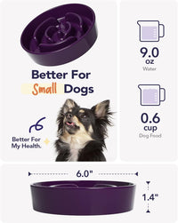 LE TAUCI Ceramic Slow Feeder Dog Bowls Small Breed - Maze Purple / S-0.6 Cups - image 4
