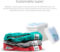Pet Parents® Washable Dog Diapers (3pack) + Extendrs® of Durable Doggie Diapers, Premium Dog Diapers Female (Large, Southern Belle)