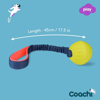 Coachi Tuggi Tug, Interactive Dog Toy for Tug of War & Play - Tuggi Ball - image 4