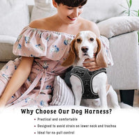 Comfort fit All Weather Step-in Reflective Dog Harness - Adjustable Small Dog Harness Medium Sized Dogs - Soft Padded Easy Walk Dog Vest Harnesses