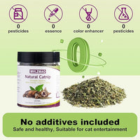 210ML Organic 100% Natural Catnip Cattle Grass Mint Taste Funny Cat Toy New Cat Toy Interactive Cat Toys Pet Supplies