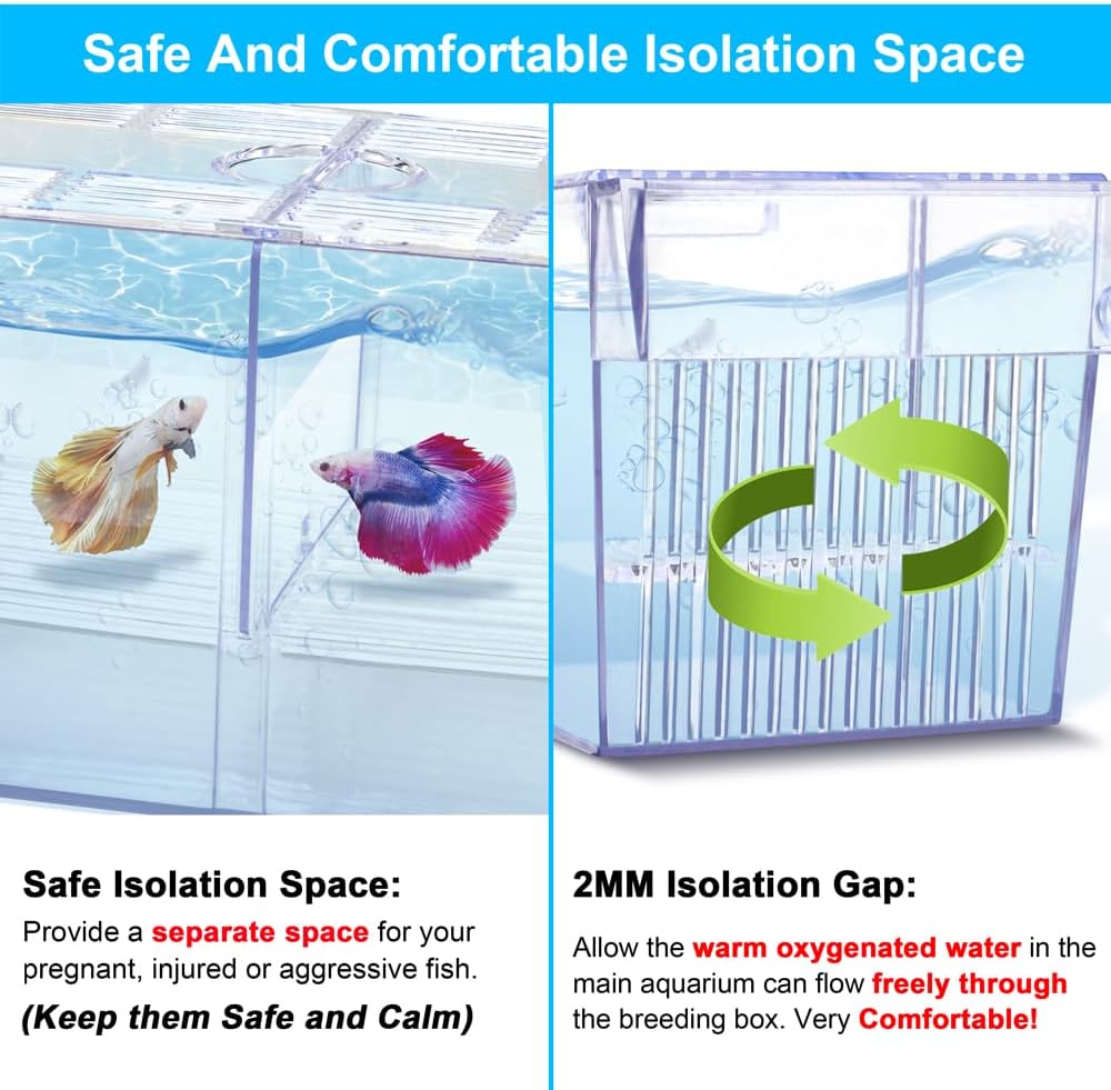 DaToo Fish Breeding Box Aquarium Holding Tank Transparent Fish - image 4