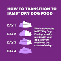 IAMS Advanced Health Skin & Coat Adult Dry Dog Food Chicken and Salmon Recipe, 6 lb. Bag