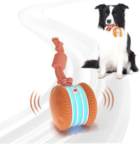 Interactive Dog Ball,Random Path Electric Moving Dogs Toy with Rope – Essentials for Dogs