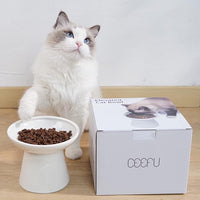Extra Wide Elevated Ceramic Cat Bowl - 6.2" Shallow Dish for Whisker Fatigue Relief, 5" Height for Easy Feeding, Lead & Cadmium Free, Durable Raised Cat Food Bowls, White