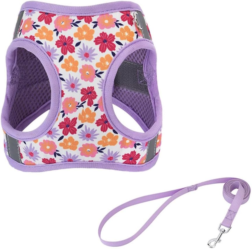 Step in Dog Harness and Leash Set, Pet Vest Harness - Flower-Purple / XXS