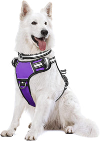 WINSEE Dog/Pet Harnesses No Pull with Dog Collar - X-Large / Purple