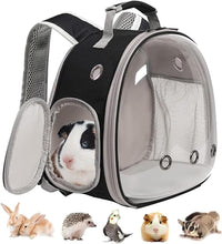 Guinea Pig Carrier Backpack - Black / Backpack