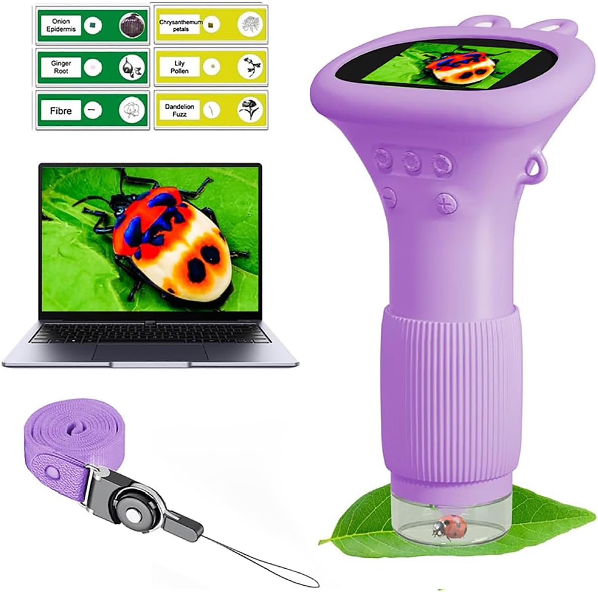 WINWEND Kids Microscope Pocket Microscope 1000X Portable Microscope - Purple