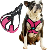 Gooby Comfort X Step-in Lite Harness, Choke-Free - Large (19-22") / Flamingo Pink - image 3