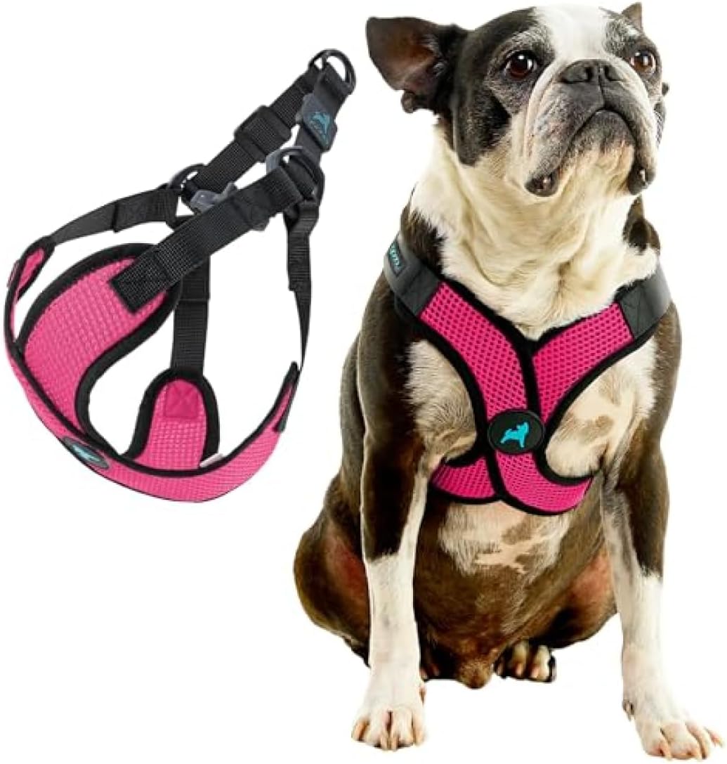 Gooby Comfort X Step-in Lite Harness, Choke-Free - Large (19-22") / Flamingo Pink - image 3