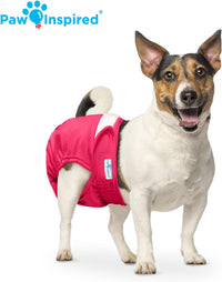 Paw Inspired Washable Dog Diapers, Assorted and White Lining - Assorted (White Lining) / Small (3 ct.) - image 3
