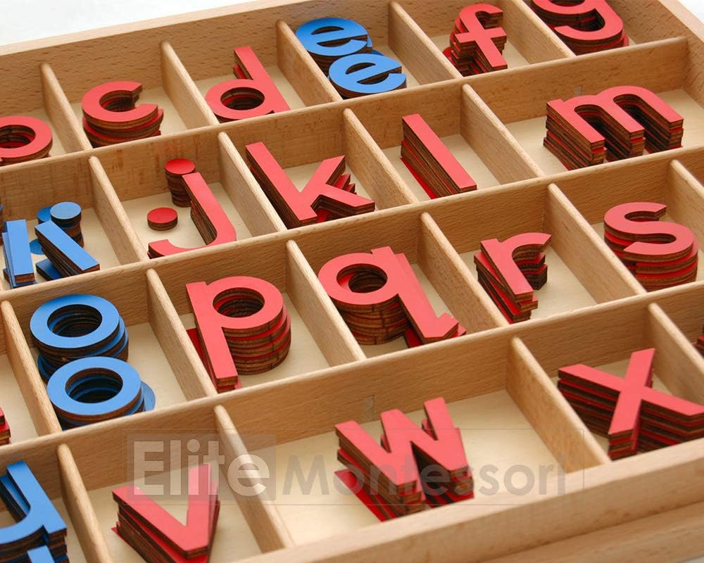 Elite Montessori Wooden Movable Alphabet with Box Preschool Spelling - image 3