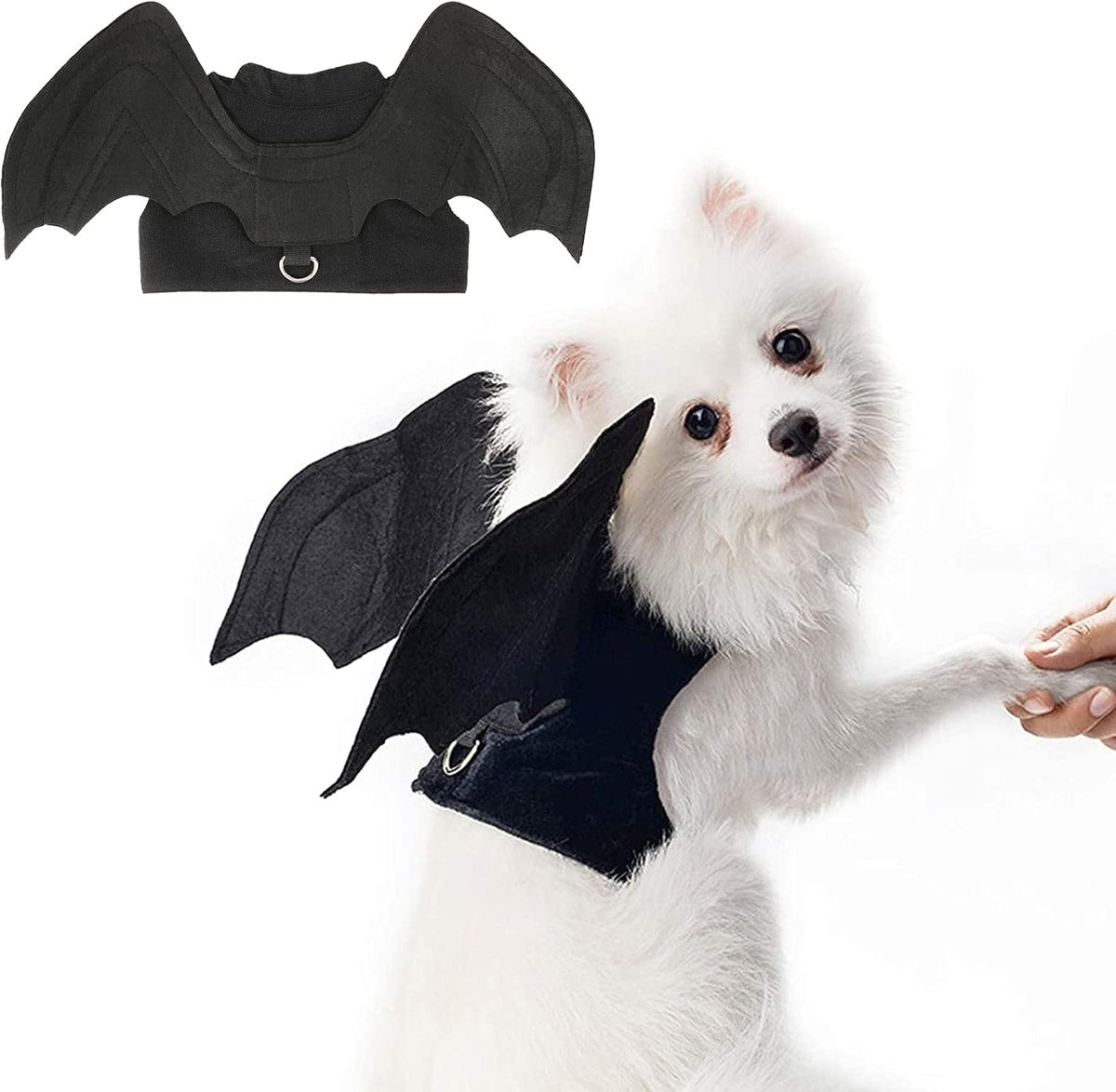 Dog Halloween Costume, Halloween Bat Wings for Dogs Cats - Medium