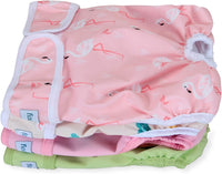 Teamoy Female Dog Diapers, Washable Doggie Period Diaper - L2 (Pack of 4) / Flamingo+ Cloud+ Green+ Pink (4pcs)