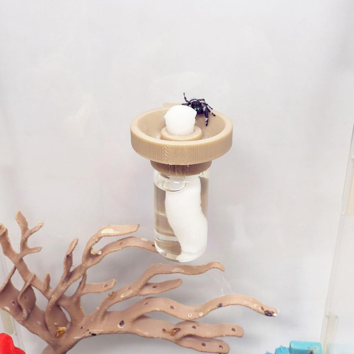 Jumping Spider Water Dispenser, Magnetic Hanging Feeder - Wood color / 5ML